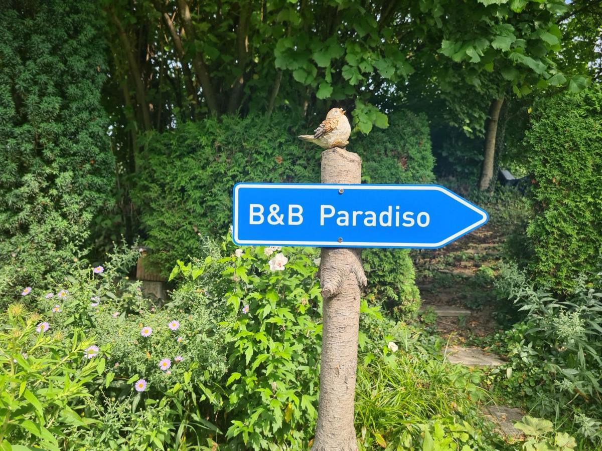 Zimmer Paradiso Busingen am Hochrhein Εξωτερικό φωτογραφία